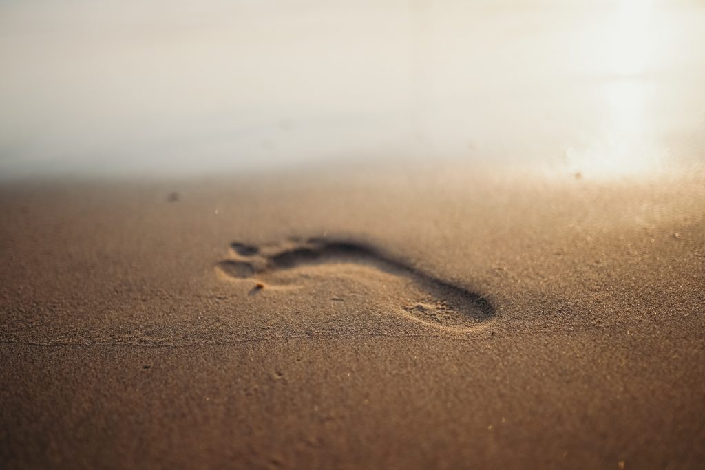 Menerapkan Logsheet Digital dalam Manajemen Kalibrasi
Foto oleh cottonbro studio: https://www.pexels.com/id-id/foto/pemandangan-alam-pantai-liburan-4428280/