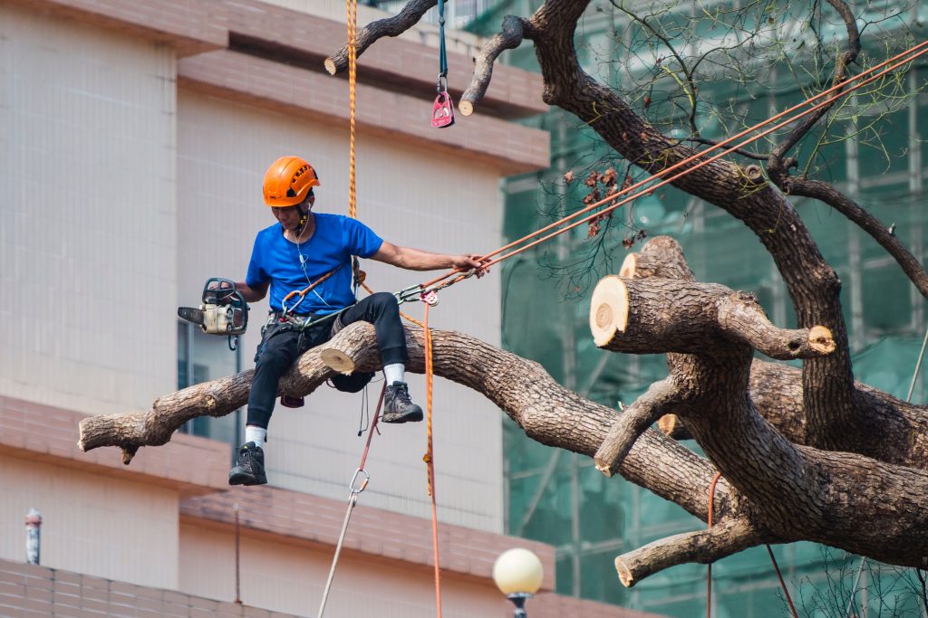 The Positive Impact and Future of Safety Awareness
Photo by Jimmy Chan: https://www.pexels.com/photo/man-in-blue-shirt-siting-on-tree-branch-wearing-safety-harness-holding-ropes-on-left-hand-and-chainsaw-in-right-hand-2310483/