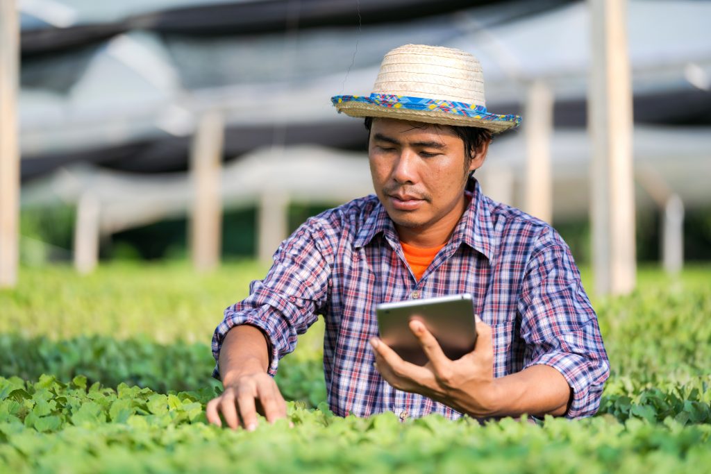 Case Study: Implementing Digital Logsheets in the Food Industry
Foto oleh Sorapong Chaipanya: https://www.pexels.com/id-id/foto/cerah-pria-bidang-industri-4530774/
