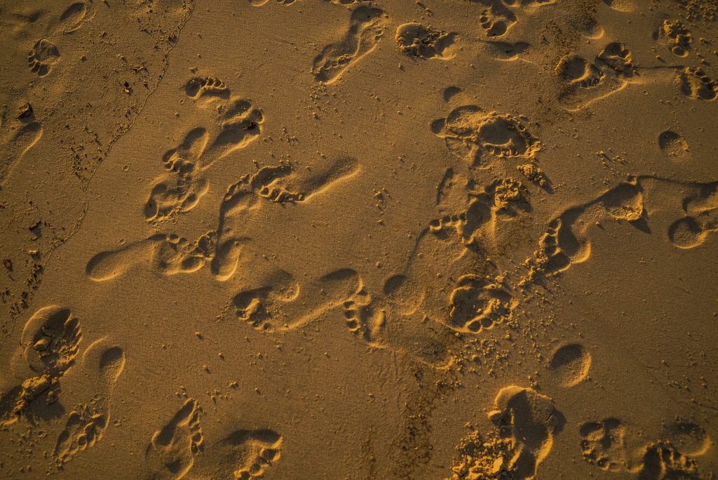 Langkah-langkah dalam Implementasi Logsheet Digital untuk Pelacakan Kepatuhan
Foto oleh Wendy Wei: https://www.pexels.com/id-id/foto/foto-jejak-kaki-di-pasir-1656671/