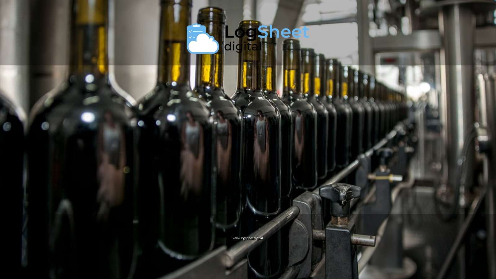 Rows of wine bottles on a production line in an industrial setting.