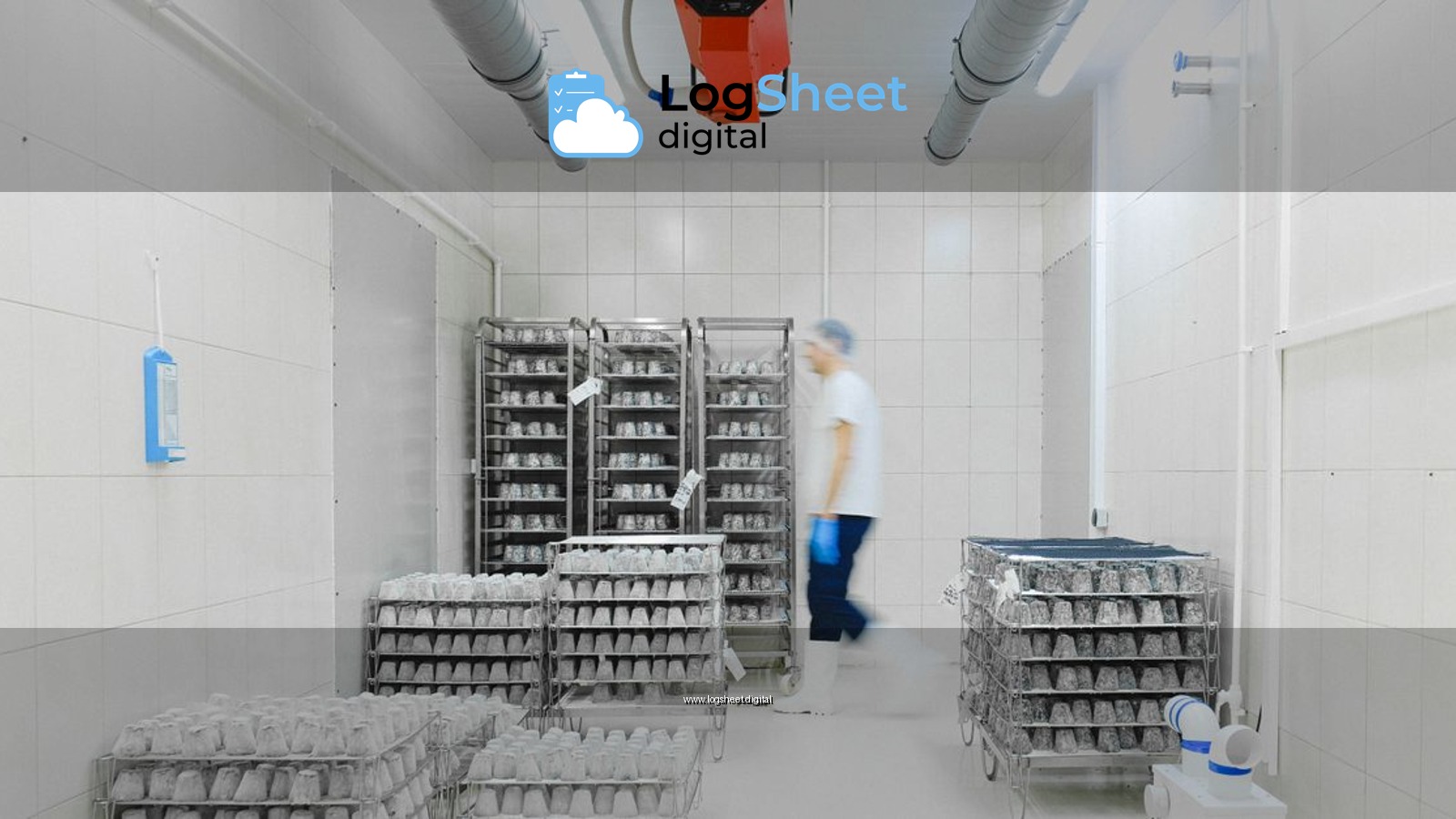 Blurred worker in a cold storage facility with shelves of perishable goods, emphasizing motion and efficiency.