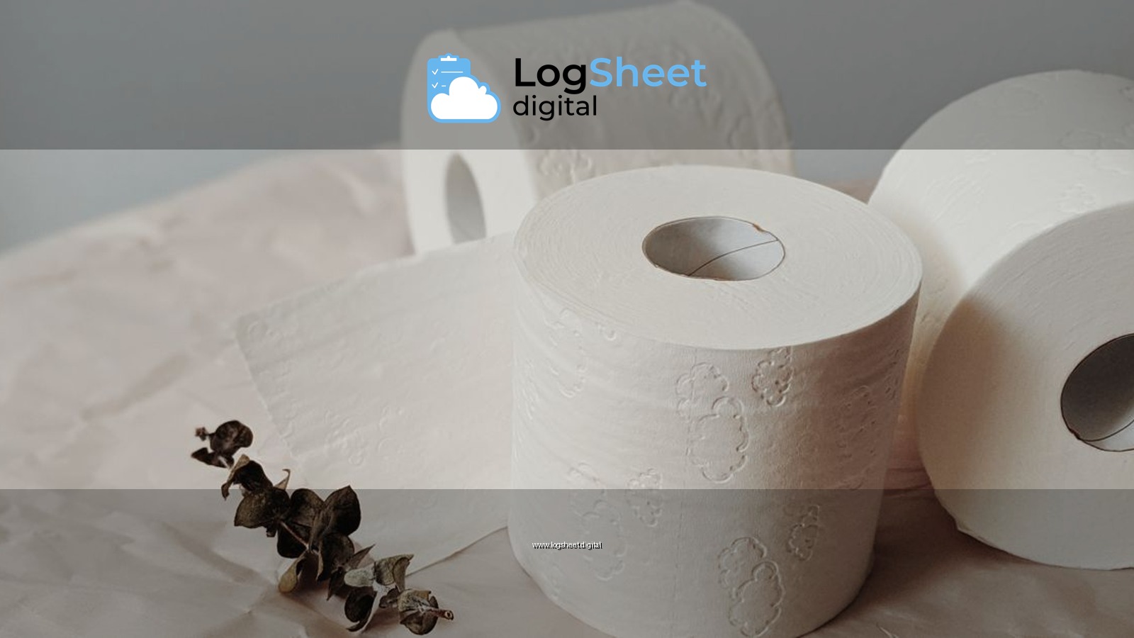 Three toilet paper rolls on craft paper with eucalyptus, showcasing minimalist home essentials.