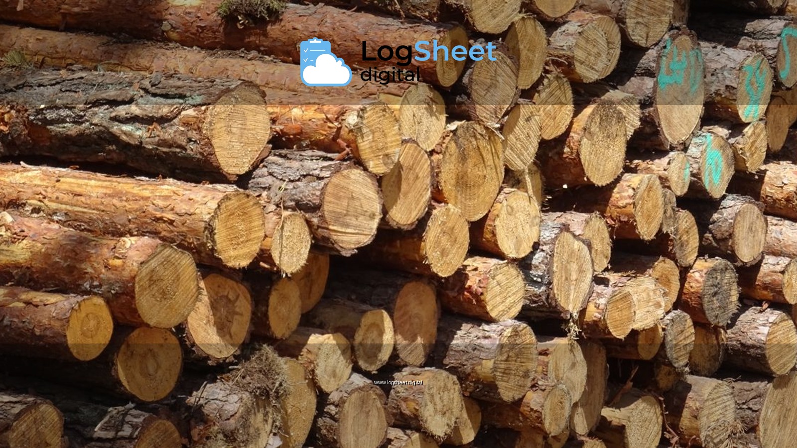 Pile of freshly cut logs stacked outdoors, showcasing the textured wood and natural bark.