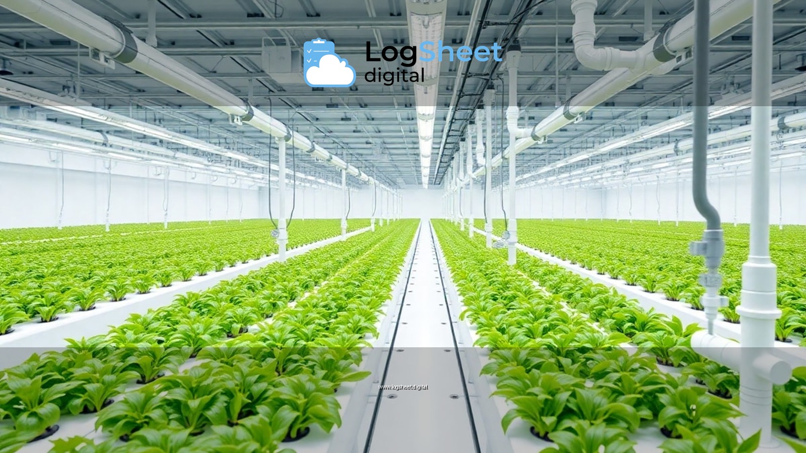 Cara Menjaga Nutrisi Greenhouse Hidroponik Skala Industri
