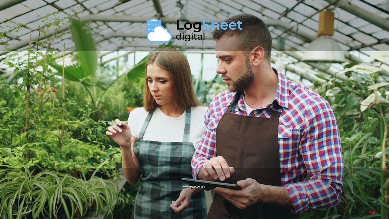 Two greenhouse workers analyzing plants and using a tablet for guidance.