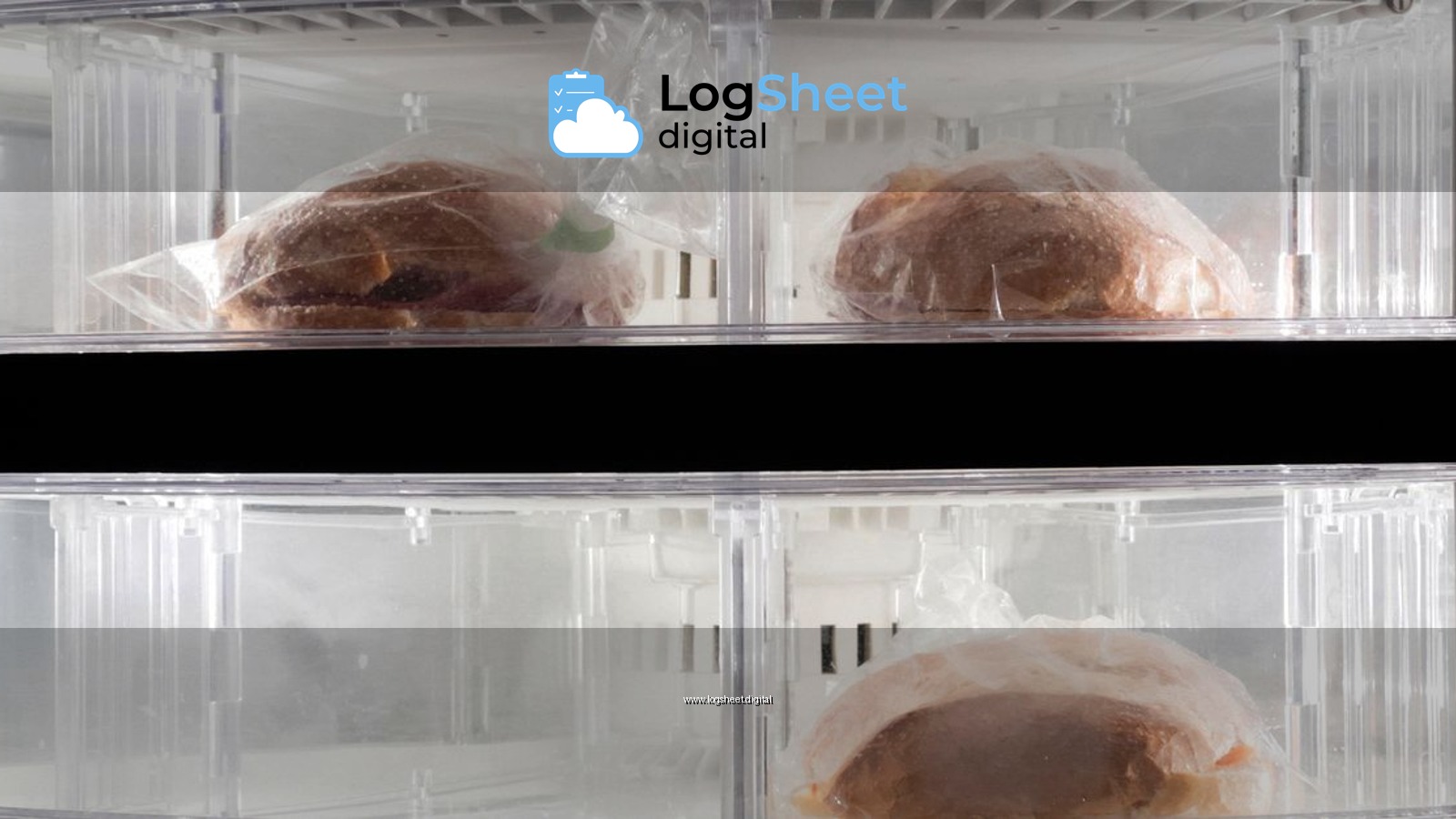 Clear view of two frozen sandwiches wrapped in plastic inside a refrigerator.