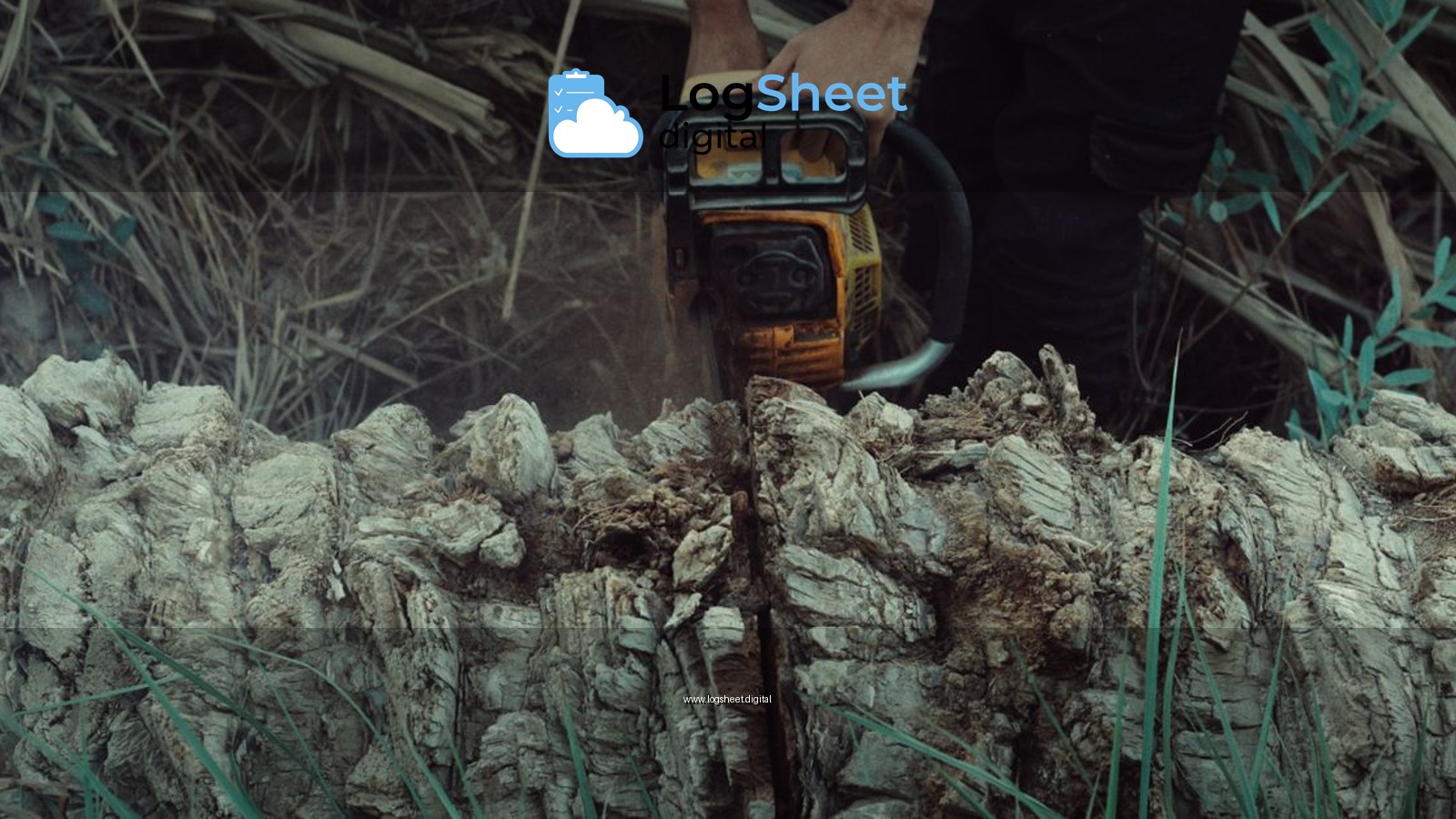 Closeup of a man using a chainsaw to cut a tree trunk in an outdoor setting.