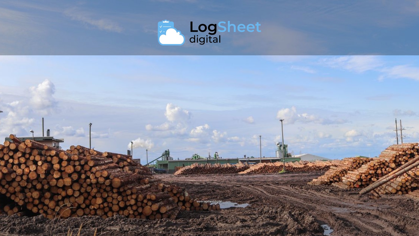 Piles of wooden logs at an outdoor timber yard under a clear blue sky.