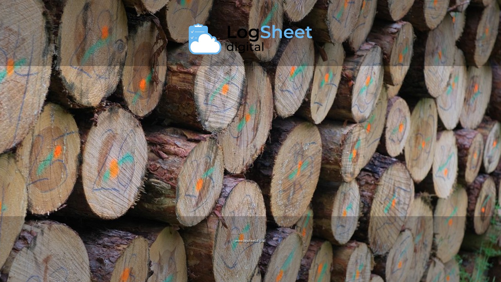 Close-up view of marked timber logs stacked outdoors, ideal for forestry and natural resource themes.