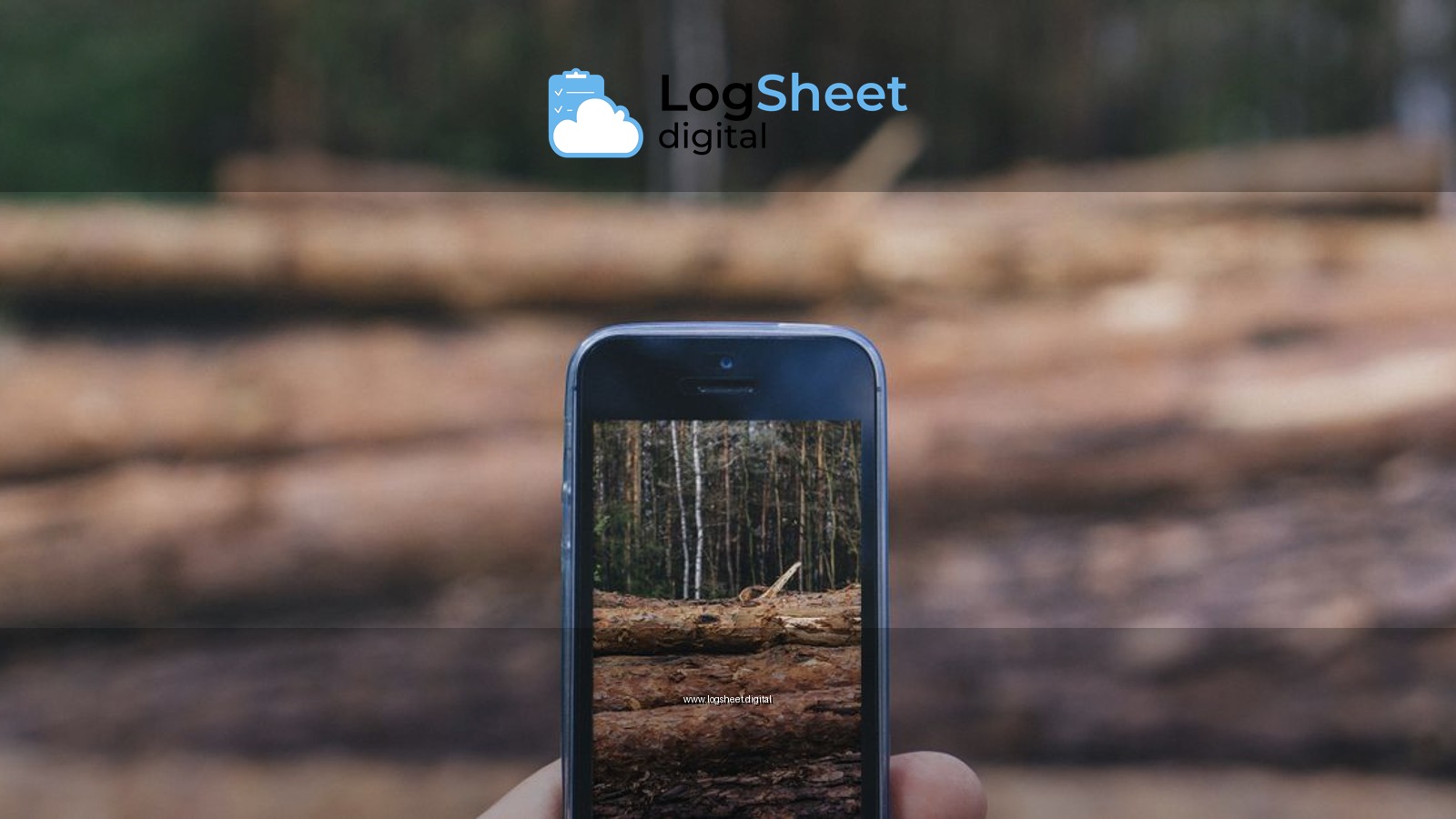 Close-up of hand holding smartphone capturing forest logs, illustrating technology in nature.