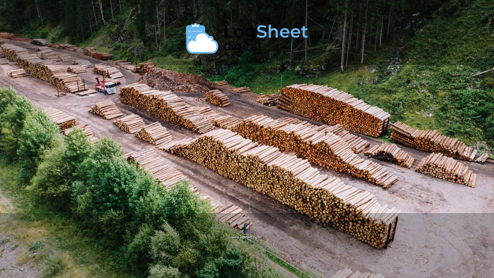 Aerial shot of a timber yard with stacked logs surrounded by dense forest greenery.