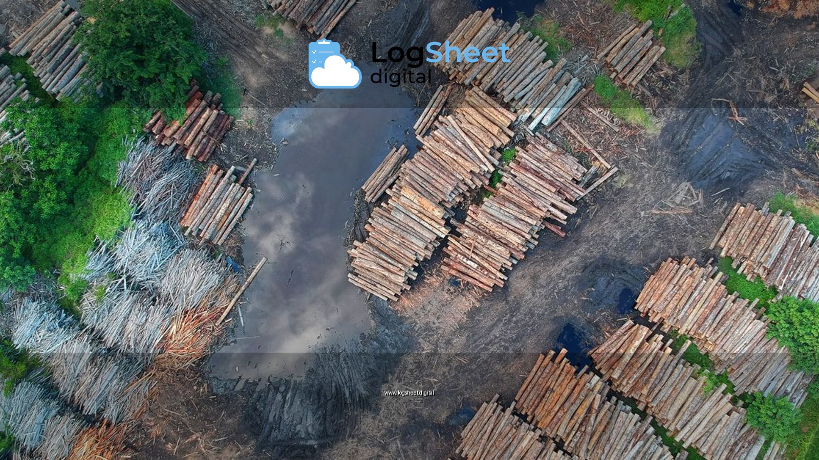 High-altitude shot of stacked logs in a deforested area, showcasing timber and environmental impact.