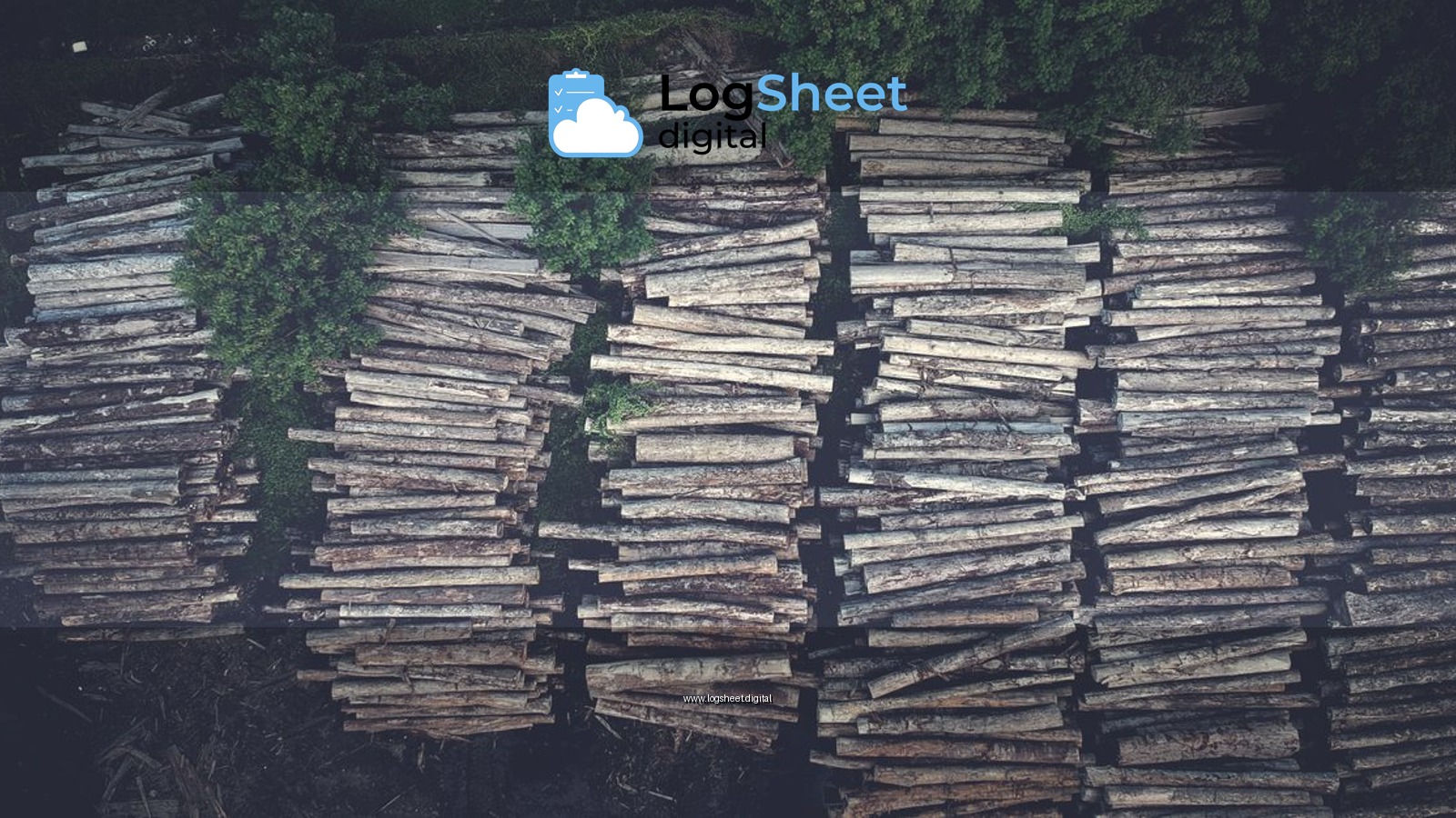 Top-down view of stacked logs in a forest clearing, showcasing logging industry.